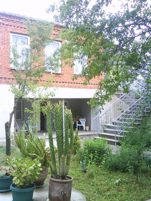 Guesthouse Gegi 库塔伊西 外观 照片